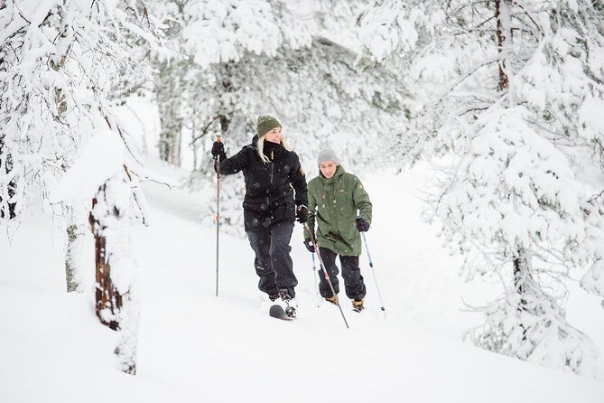 Classic Wilderness Skiing in the Pyhä-Luosto National Park - An In-Depth Look at the Wilderness Skiing Experience