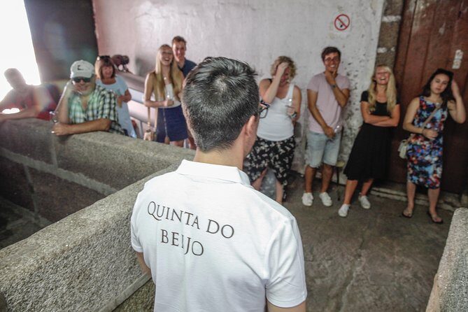 Classic Wine Tasting with GUIDED TOUR - Key Points