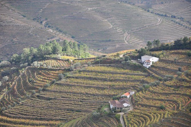 Classic Wine Tasting with GUIDED TOUR - The Experience Provider and Booking Details