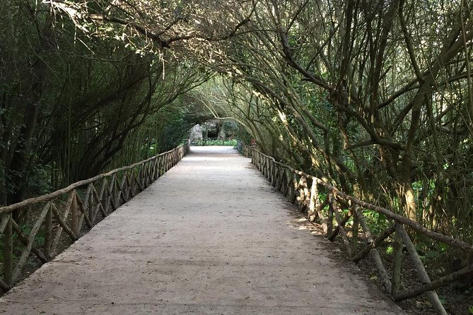 classical-syracuse-half-day-guided-tour