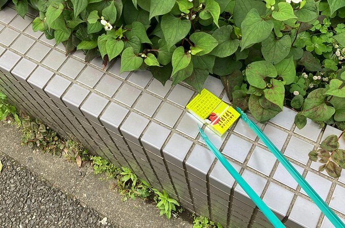 Clean and Walk with Local Guide in Tsukiji Ginza - Authenticity and Unique Moments: What Reviewers Say