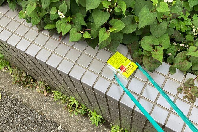 Clean and Walk with Local Guide in Tsukiji Ginza - The Sum Up