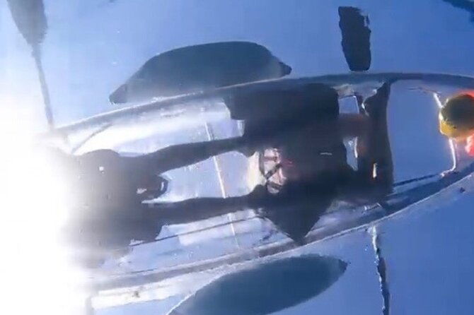 clear-bottom-glassy-kayak-rental-maui-safe-and-stable-kayaks