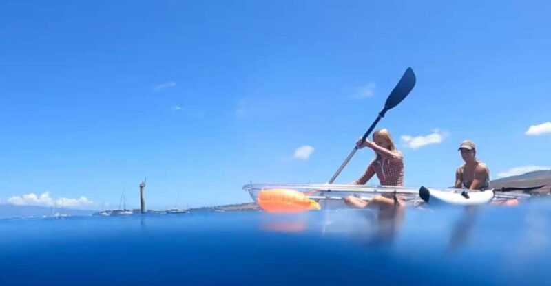 clear-bottom-glassy-kayak-rental-safe-and-stable-kayaks