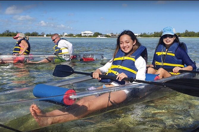 clear-bottom-kayaks-mangrove-and-iguana-tour