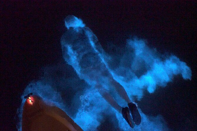 Clear Kayak Bioluminescence Tour - Guides and Group Size: Why They Matter