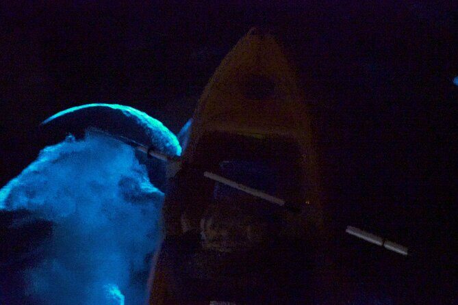 Clear Kayak Bioluminescence Tour - The Value of the Experience