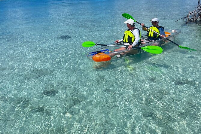 clear-kayak-eco-tour-explore-mangroves-and-meet-the-turtles