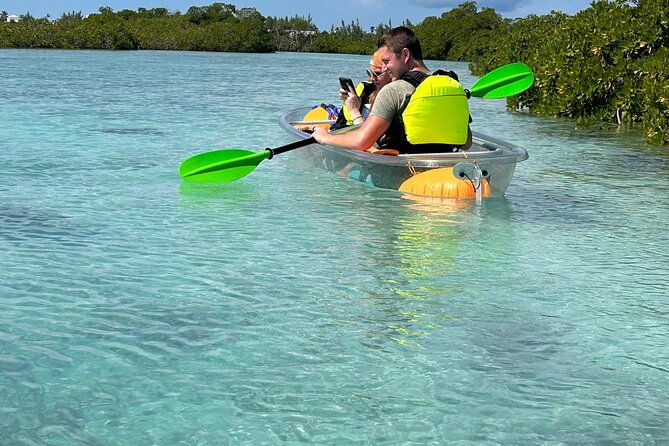 clear-kayak-eco-tour-explore-mangroves-and-meet-the-turtles