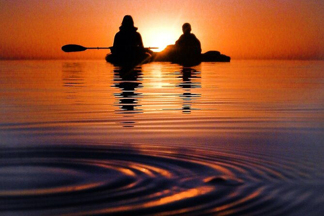 clear-kayak-florida-bioluminescence-tour-beacon-42-titusville-2