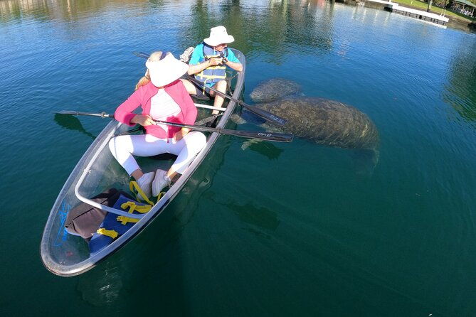 clear-kayak-manatee-ecotour-of-crystal-river