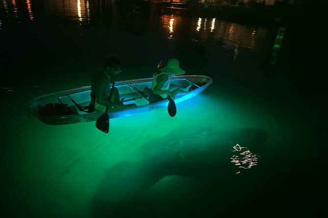 clear-kayak-manatee-viewing-sunset-and-glow-tour-of-crystal-river