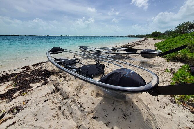 clear-kayak-mangrove-eco-tour