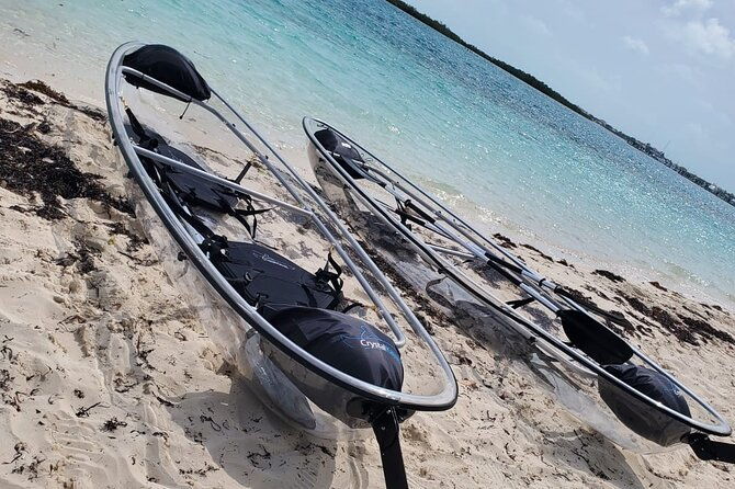 clear-kayak-mangrove-eco-tour