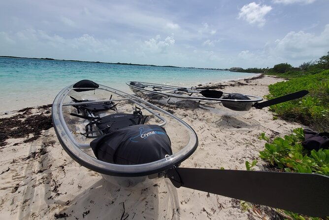 clear-kayak-mangrove-eco-tour