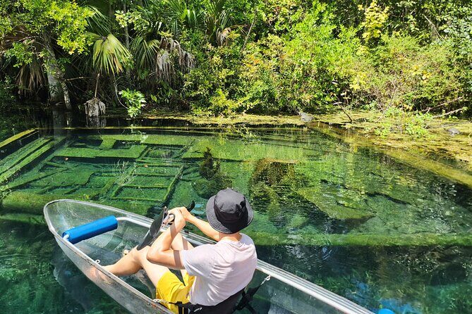 Clear Kayak or Paddleboard Manatee Adventure - Drawbacks and Considerations