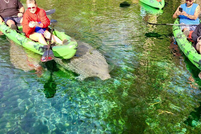 Clear Kayak or Paddleboard Manatee Adventure - The Sum Up: Who Should Consider This Tour?