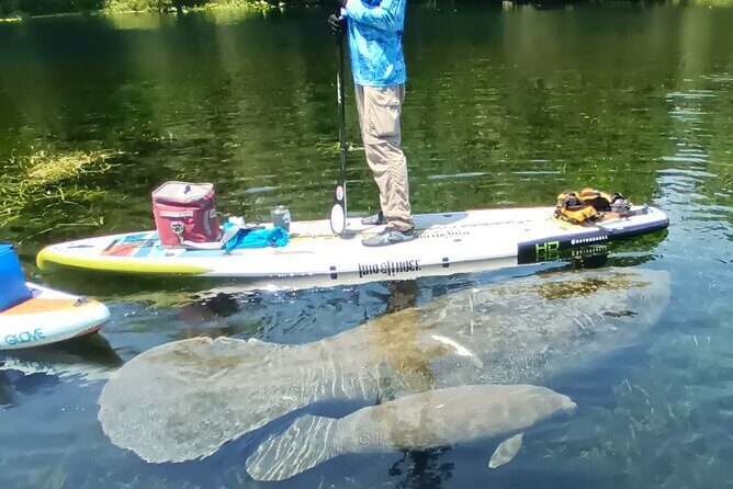 Clear Kayak or Paddleboard Manatee Adventure - FAQs