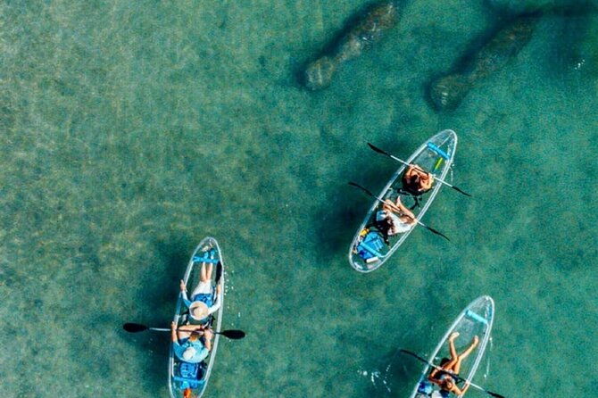 clear-kayak-peanut-island-guided-tour-palm-beach-singer-island
