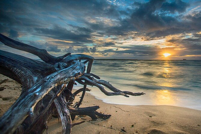 clear-kayak-sunset-light-tour-bonita-springs-ft-myers-beach