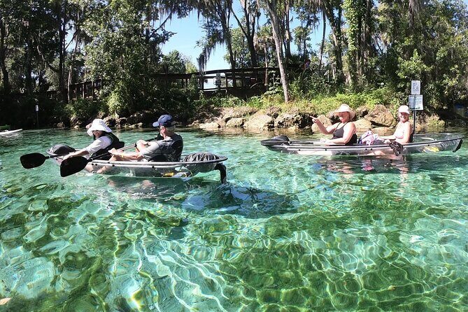 Clear Kayak Three Sisters Springs & Manatee Tour Of Crystal River - Final Thoughts