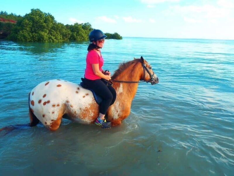 Clear Kayak Tour, Horseback Riding, Spice Tour, Lunch Break - Why Choose This Tour?