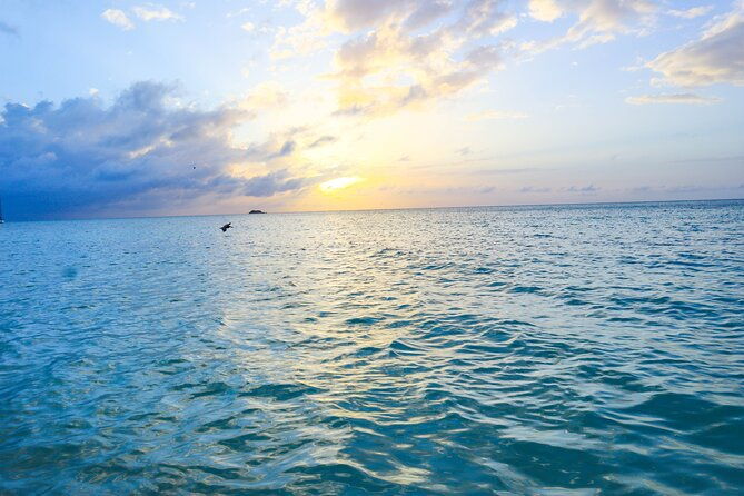clear-kayak-tour-in-mangrove-antigua