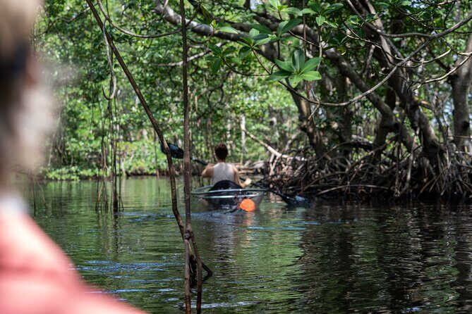 Clear Kayak Tour in North Miami Beach - Mangrove Tunnels - Final Thoughts