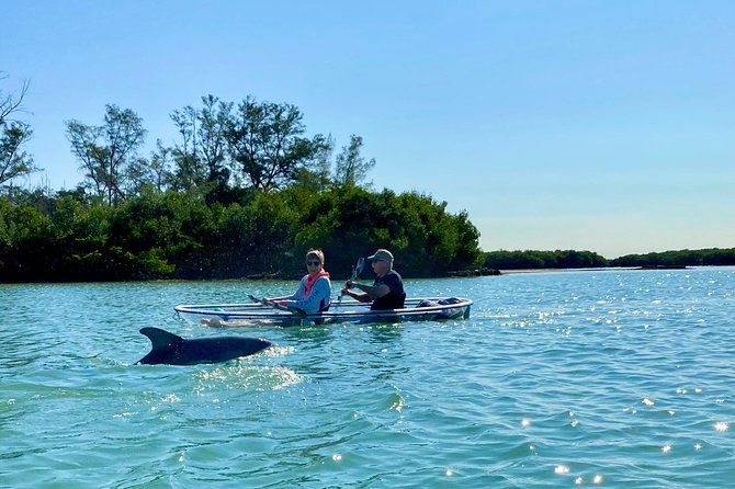 clear-kayak-tour-of-shell-key-preserve-and-tampa-bay-area