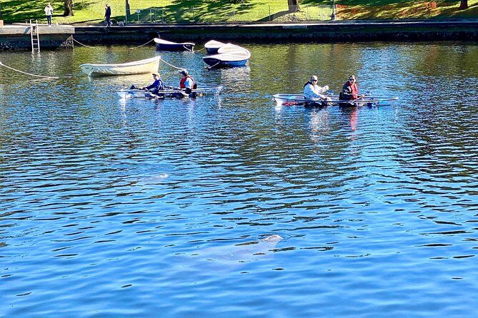 Clear Kayak Tour of Tarpon Springs | Manatee Season - Who Will Love This Tour?