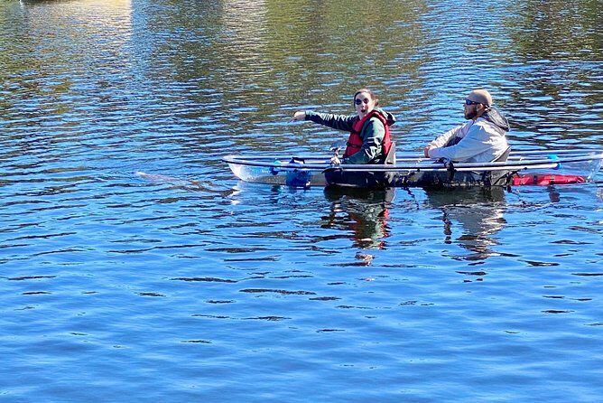 Clear Kayak Tour of Tarpon Springs | Manatee Season - Final thoughts