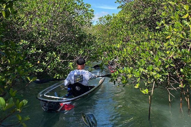 clear-kayak-tours-in-fort-pierce