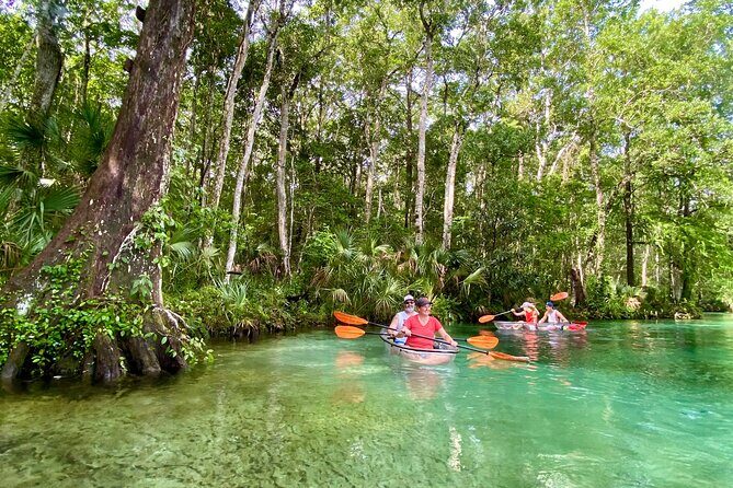 Clear Kayak Tours in Weeki Wachee - A Detailed Look at the Experience