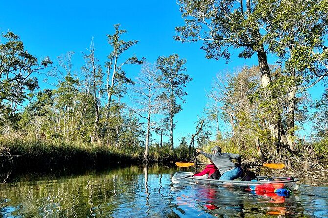 Clear Kayak Tours in Weeki Wachee - FAQ