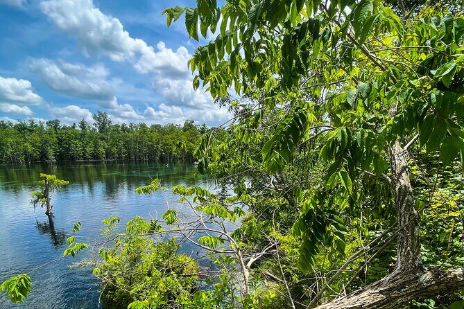 Clear Kayaking Eco Adventure Tour in Marianna - The Experience: What to Expect on the Tour