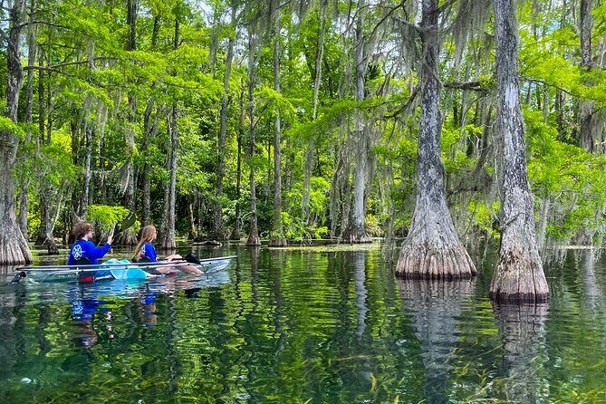 Clear Kayaking Eco Adventure Tour in Marianna - Who is This Tour Best For?