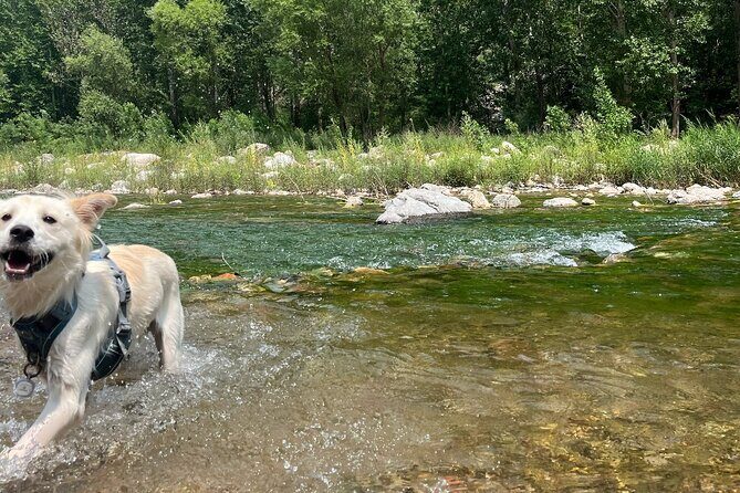 Clear Water River Hike and Swim Adventure - Authentic Experiences and Hidden Gems