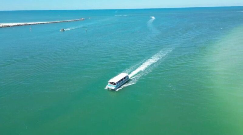 Clearwater Beach: Dolphin & Island Sandbar Cruise - An honest look at the Clearwater Dolphin & Sandbar Cruise