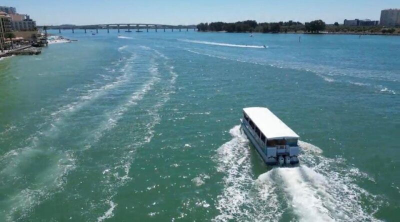 clearwater-beach-dolphin-island-sandbar-cruise