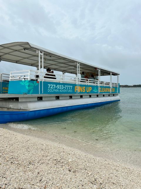 clearwater-beach-dolphin-island-sandbar-cruise