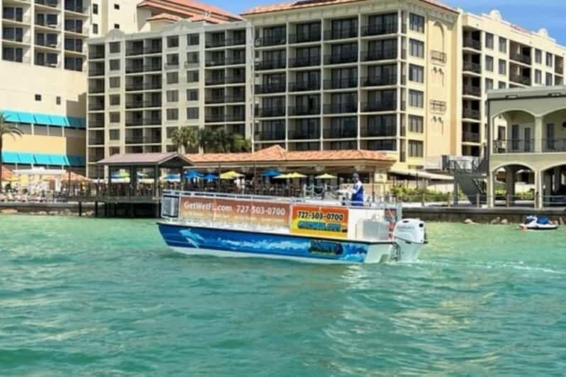 Clearwater Beach: Dolphin-Watching Sunset Cruise - Final Thoughts: Is It Worth It?
