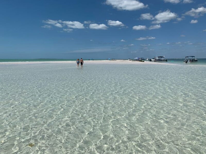 clearwater-beach-private-pontoon-tours-2