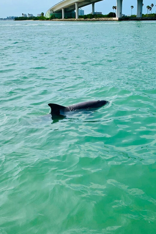 Clearwater Beach: Private Pontoon Tours - FAQs