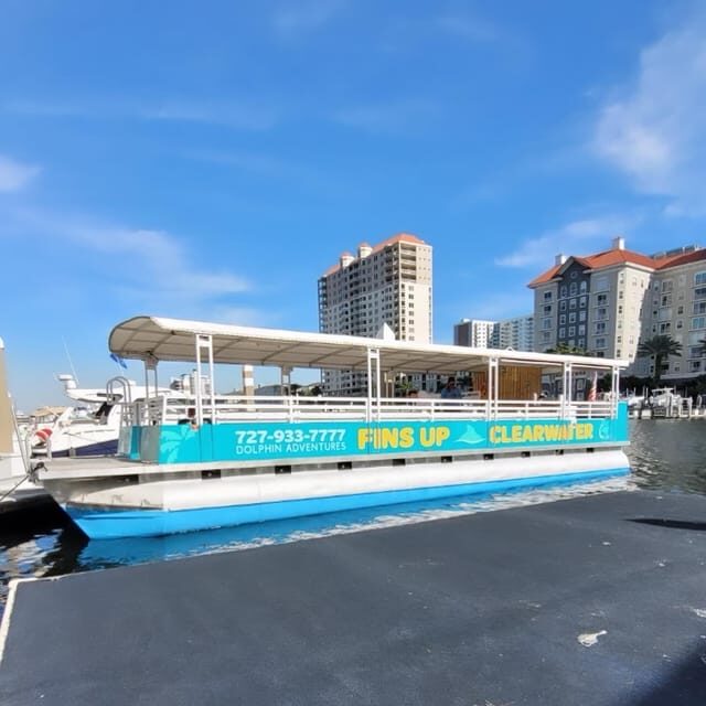 Clearwater Beach: Sunset and Harbor Lights Cruise - Why You’ll Love This Experience