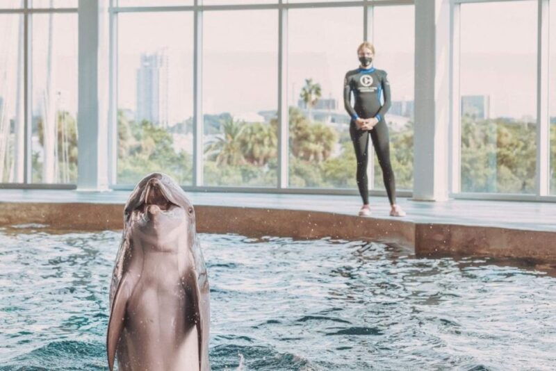 clearwater-eco-certified-marine-aquarium-general-admission