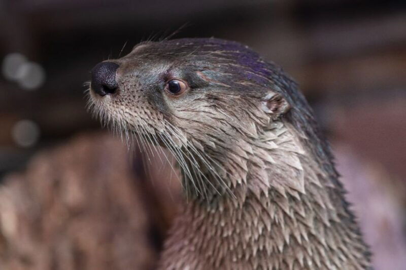 clearwater-eco-certified-marine-aquarium-general-admission