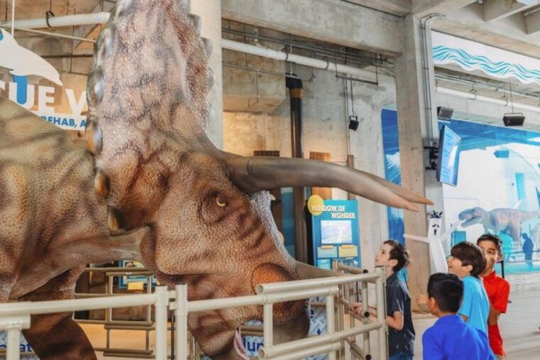 clearwater-eco-certified-marine-aquarium-general-admission
