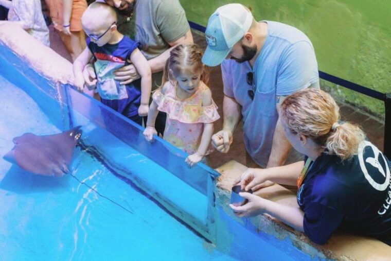 clearwater-eco-certified-marine-aquarium-general-admission
