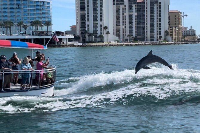 clearwater-encounters-with-dolphins-tour