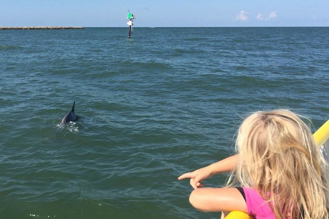 clearwater-encounters-with-dolphins-tour
